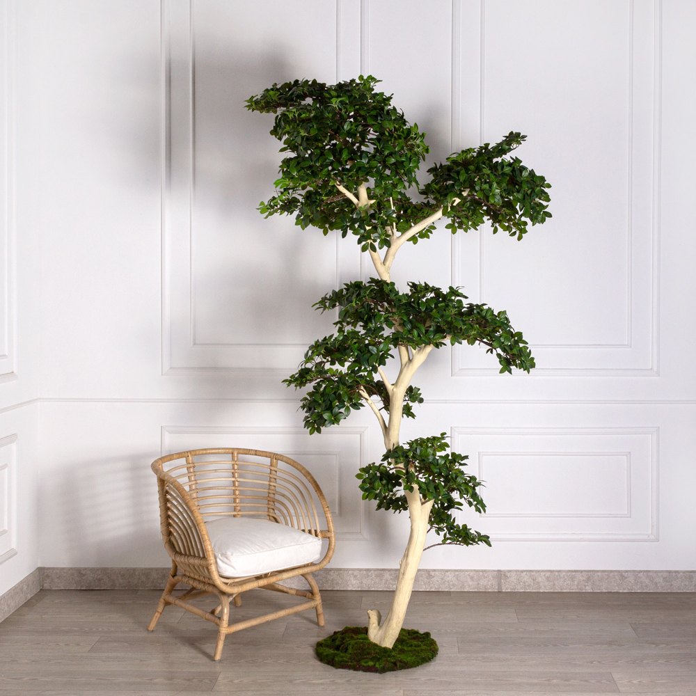 БЛ230/ДА/516(Пр) Бонсай искусственный Фикус Микрокарпа h230см (латекс) на основании _3