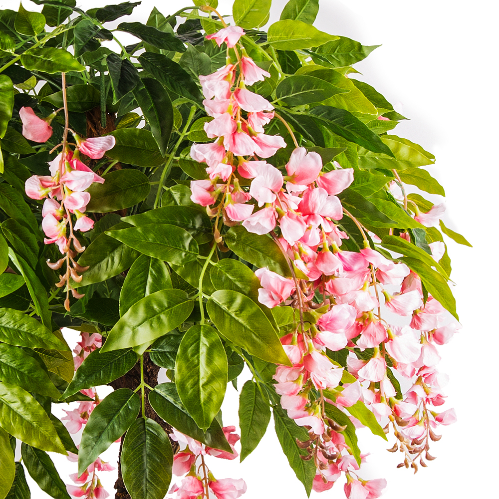 120/Я2/ОС/424-3 Глициния(вистерия) розовая h120см (латекс)_2