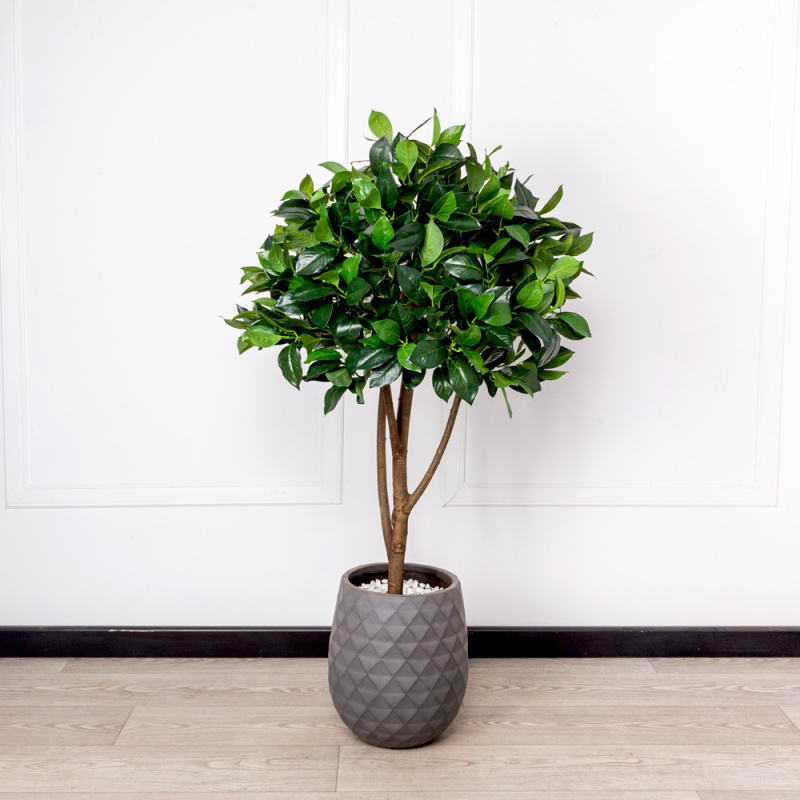 130/РН/190 Лавр искусственный камфорный h130см_2