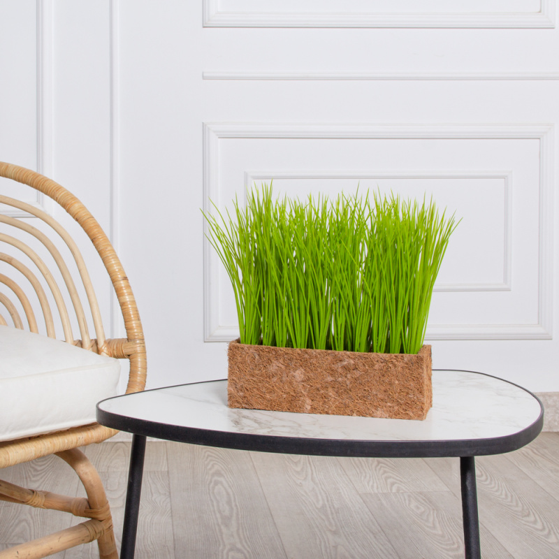 ТД058 Трава Осока искусственная h18-20см  в кокосовом боксе 25х8х8см_1