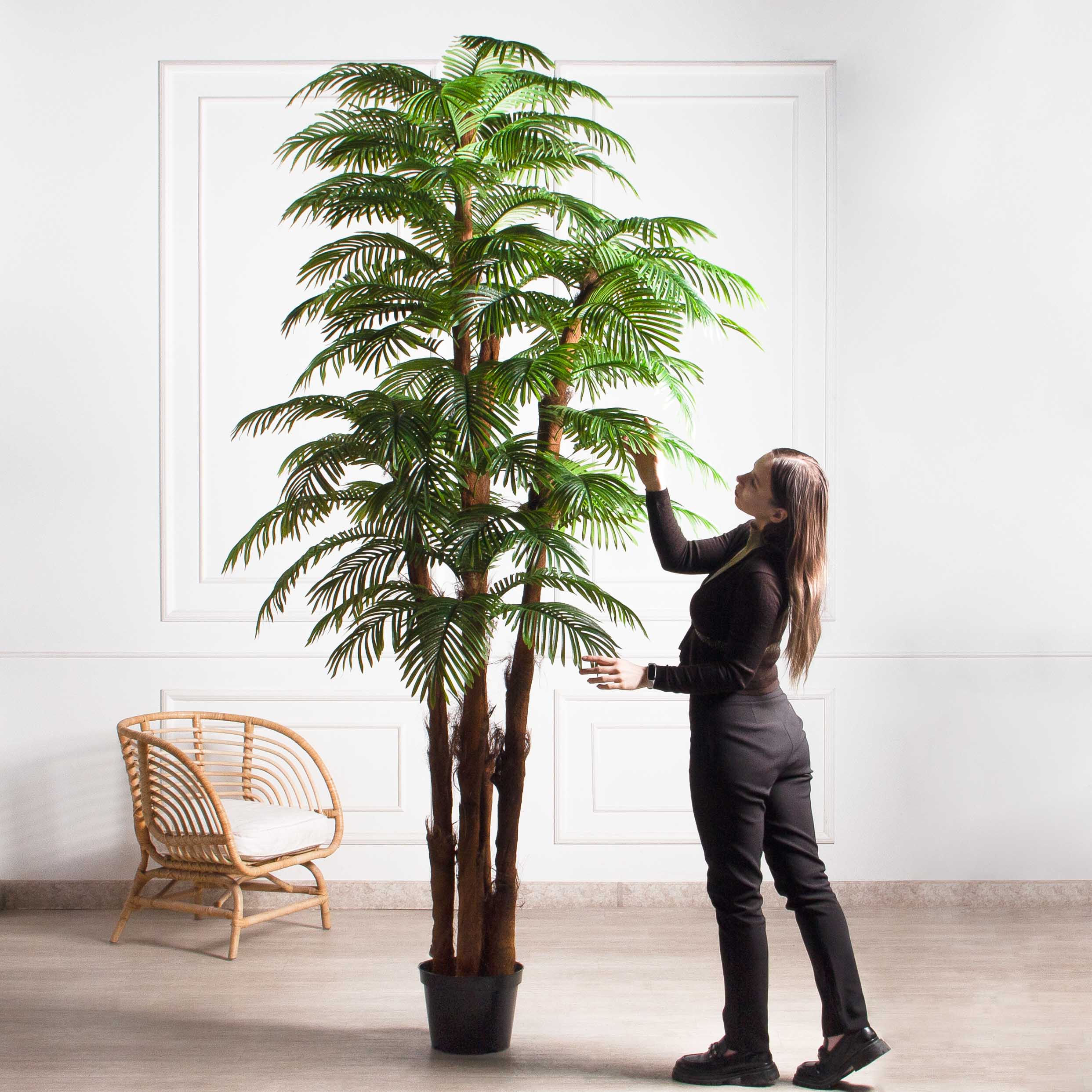 ПС270/5К/49Л(з)(F) Пальма Арека искусственная h270см, d140-150см (латекс)_2