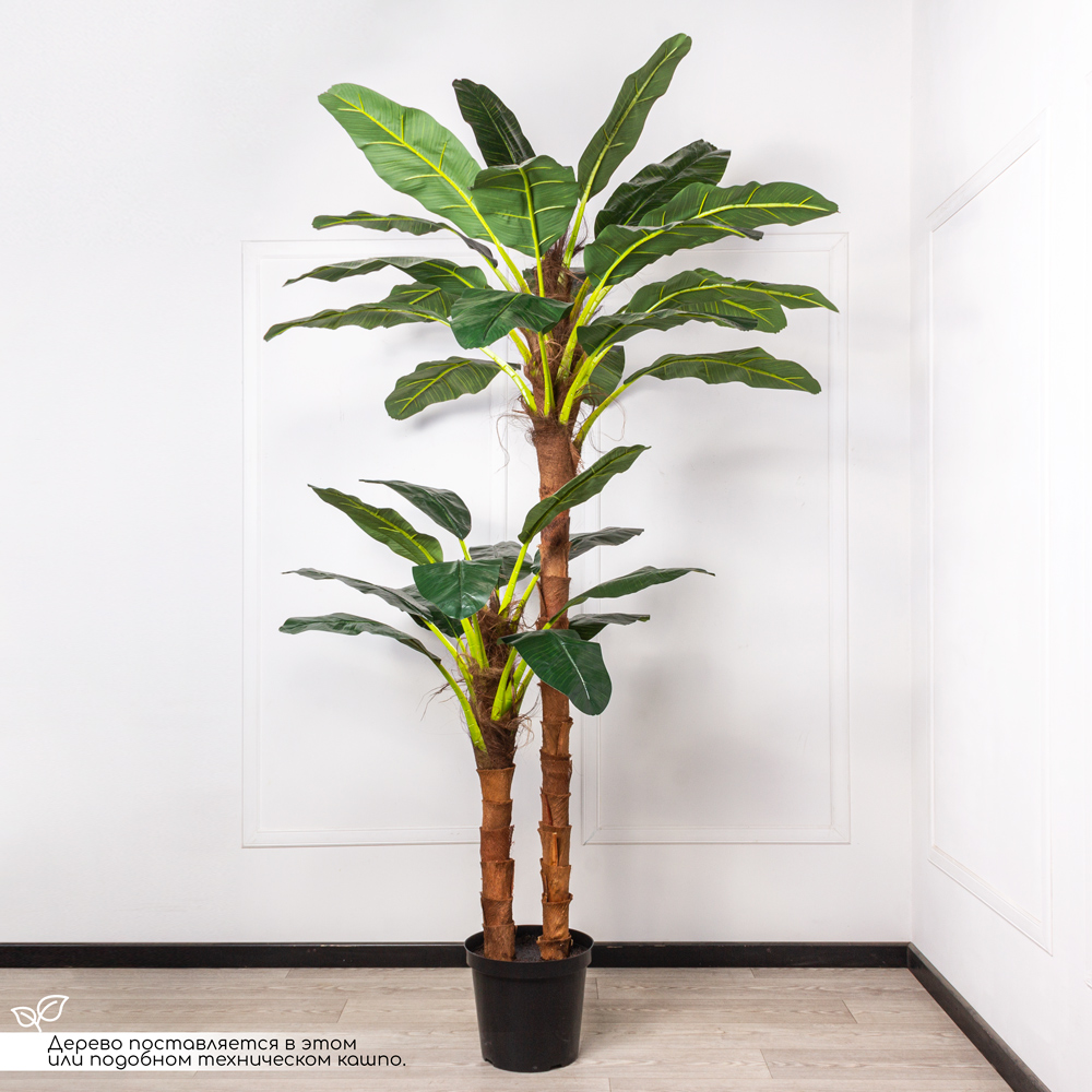 ПС250/2С/43(з)(F) Банановая пальма искусственная h250см (латекс премиум)_2