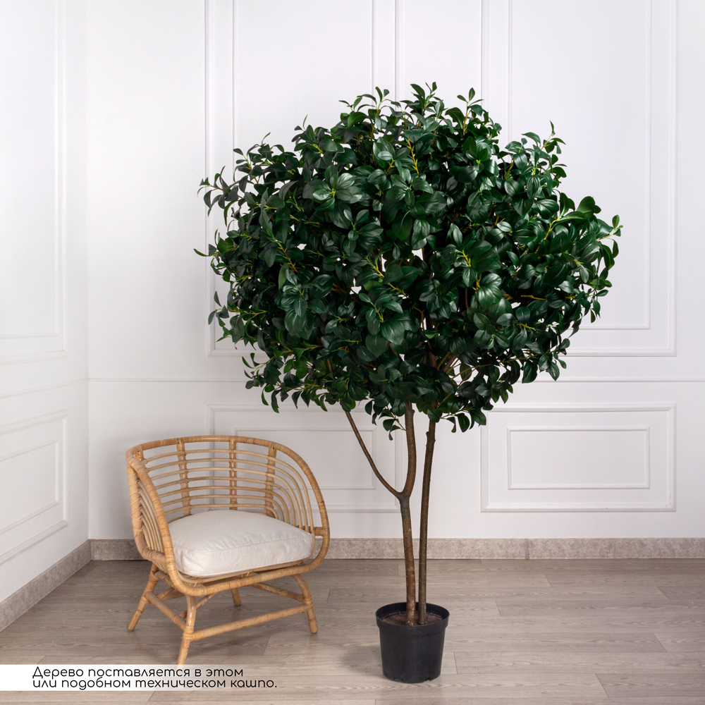 200/РН/64-1(з) Рускус искусственный h200см, d150см (латекс)_1