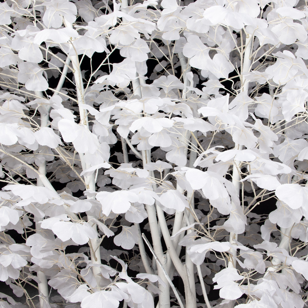 300/РН/176(з)(F) Гинкго искусственное h300см, d200см, белое_5