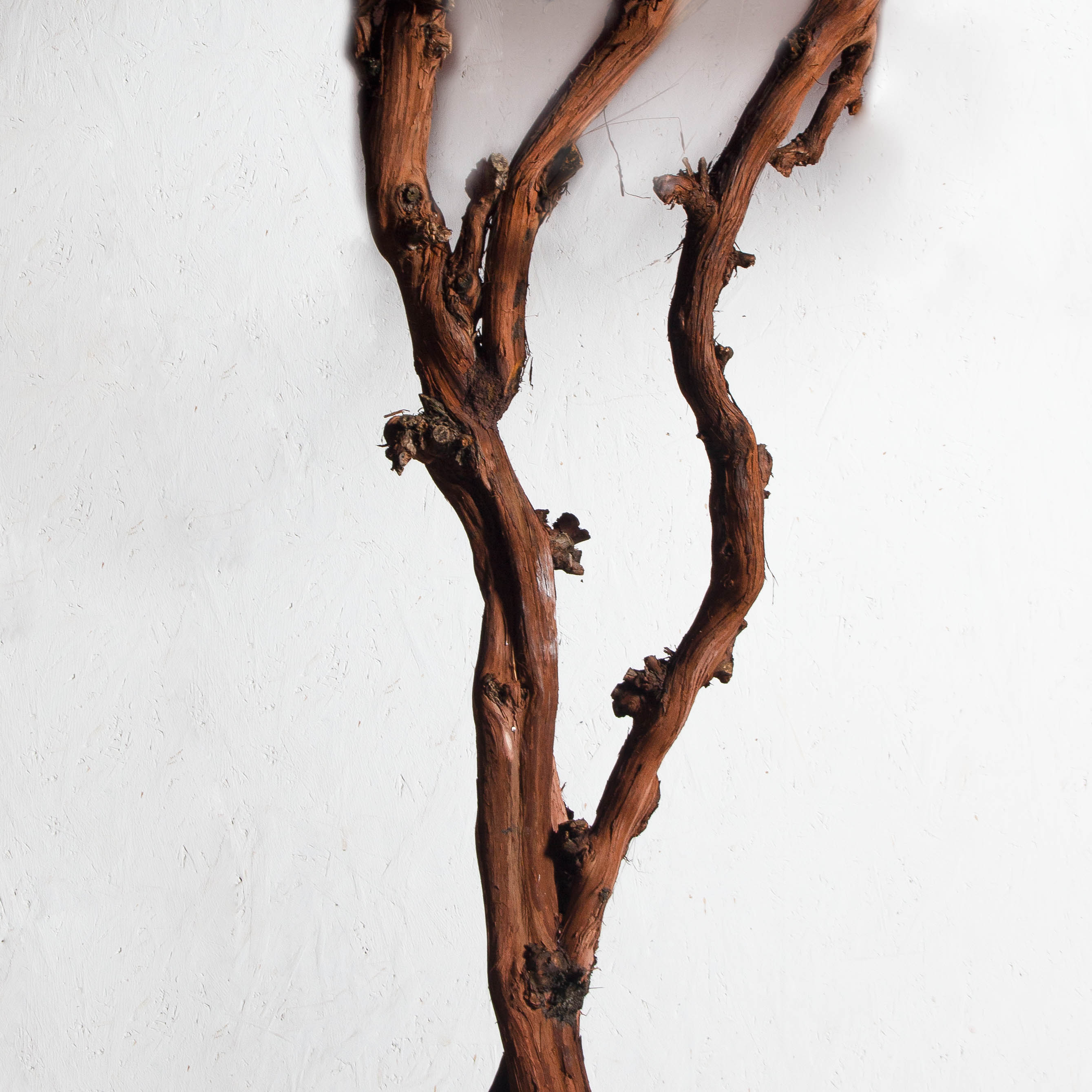 270/ОС/632(з)(УУ)(F) Дерево искусственное цветущее h270см, d230см, красное_6