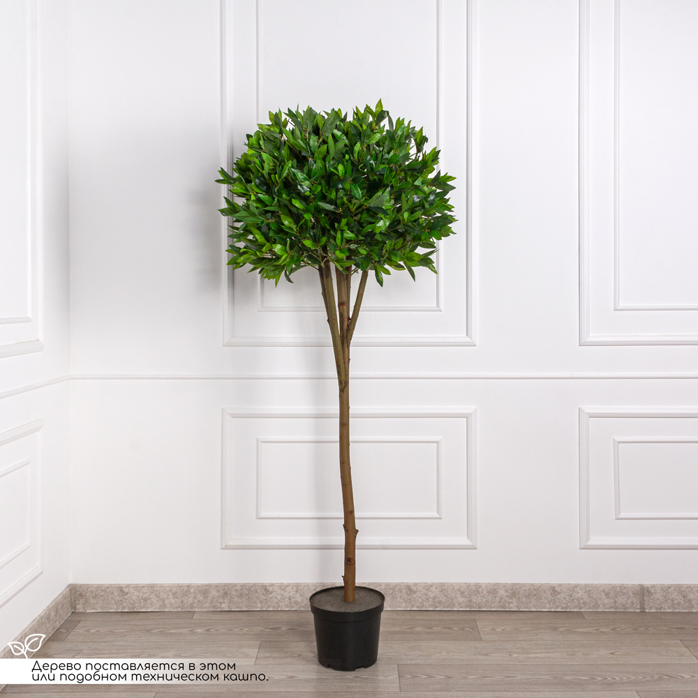 190/Ш/188-2(з) Лавр искусственный h190см (латекс)_1