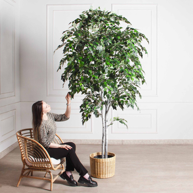 240/РН/12М-1(з)(F) Береза искусственная 2 ствола h240см_1