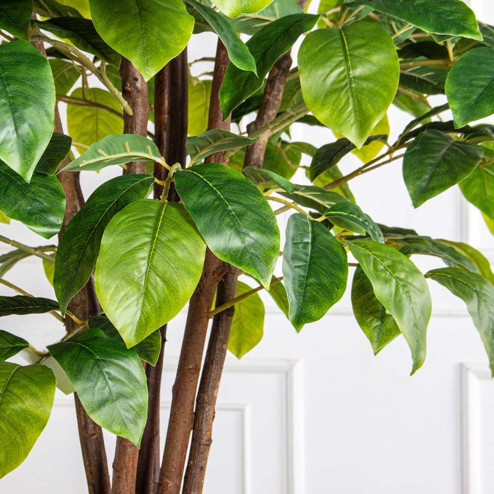 250/РН/537(з)(F) Липа искусственная h250см в кашпо (латекс)_4