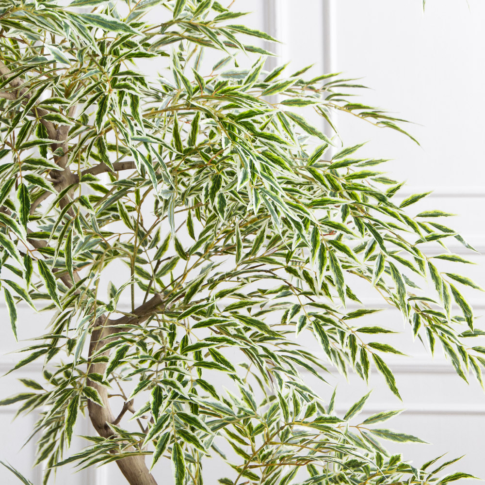 170/РН/АСС/701(Пр)(F) Магония искусственная h170см,зелено-белая,(латекс)_4