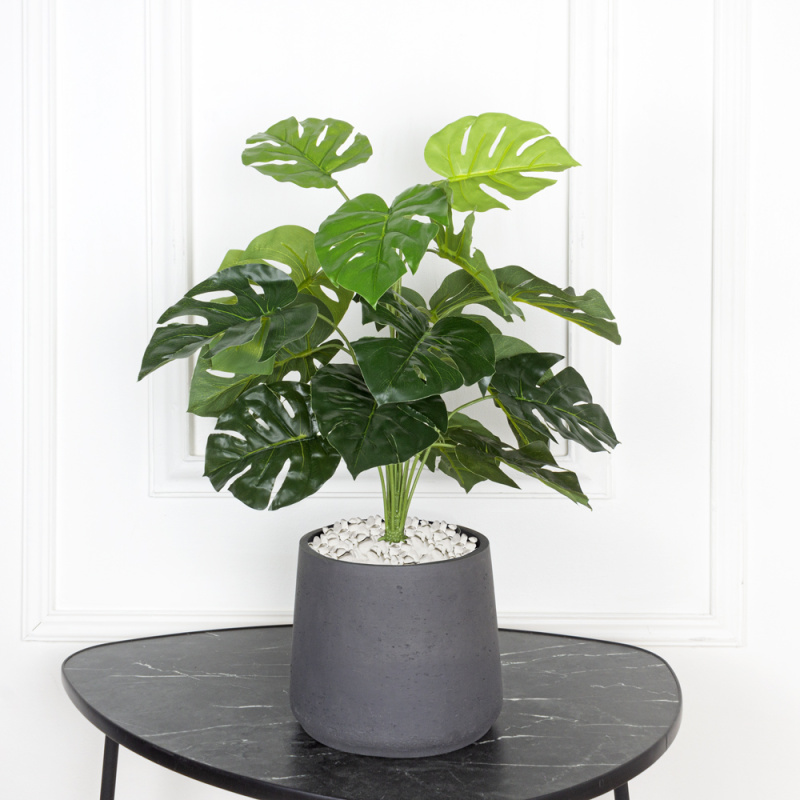 К060/215(F) Монстера искусственная (латекс) в кашпо h60см_1