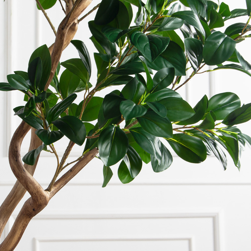 230/ВИТ/208(Пр)(F) Рускус искусственный h230см на основании, латекс_3