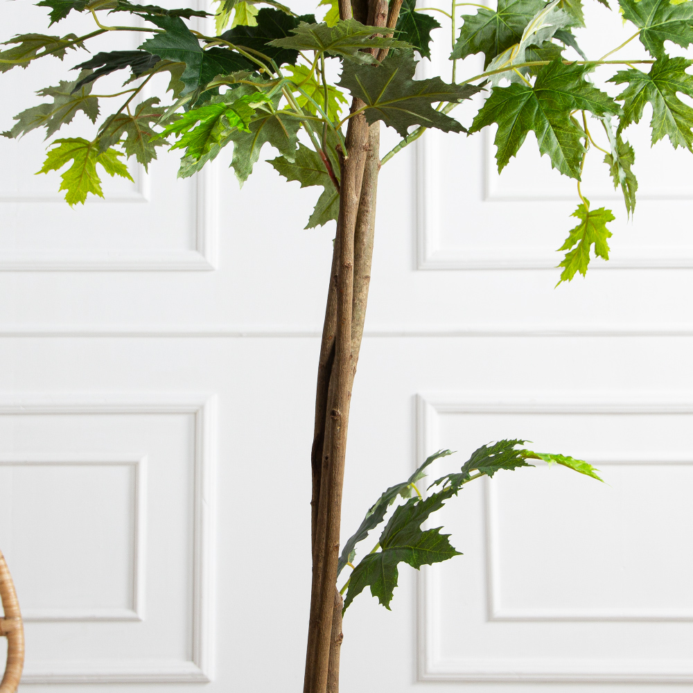 180/РН/ЭК/2900(Пр)(F) Клен искусственный h180см,зеленый_4