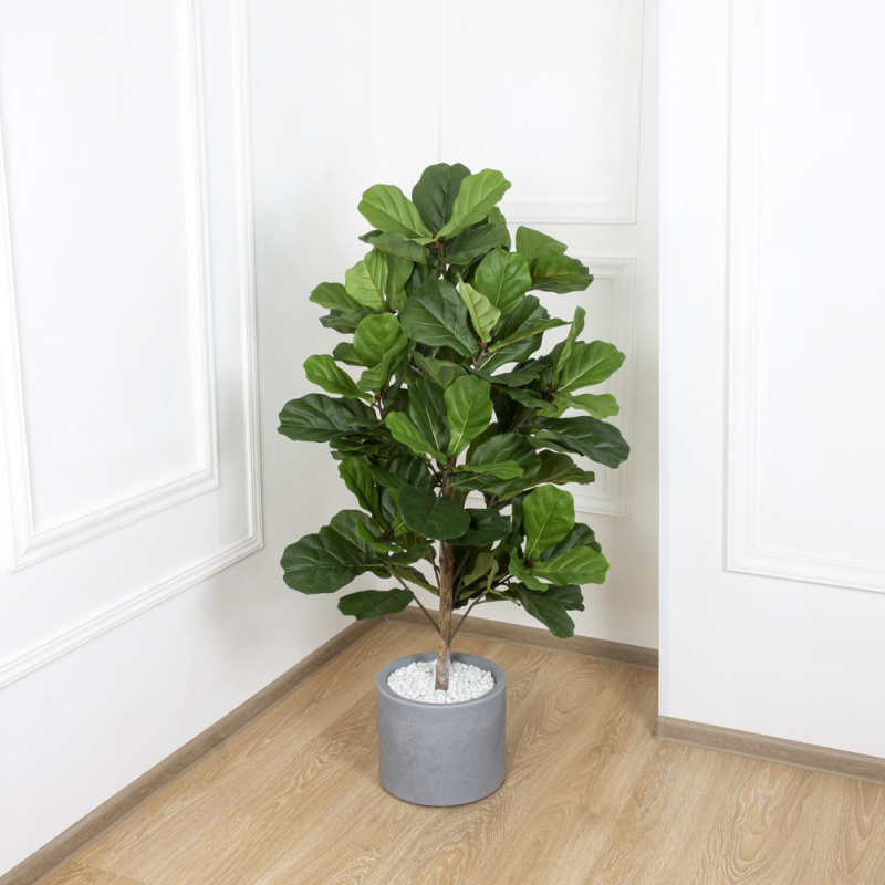 130/477(МТ) Фикус искусственный Лирата h130см