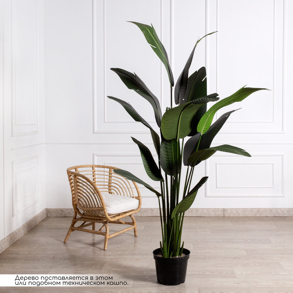 220/К/360(F) Банановая пальма искусственная h210-220см_1