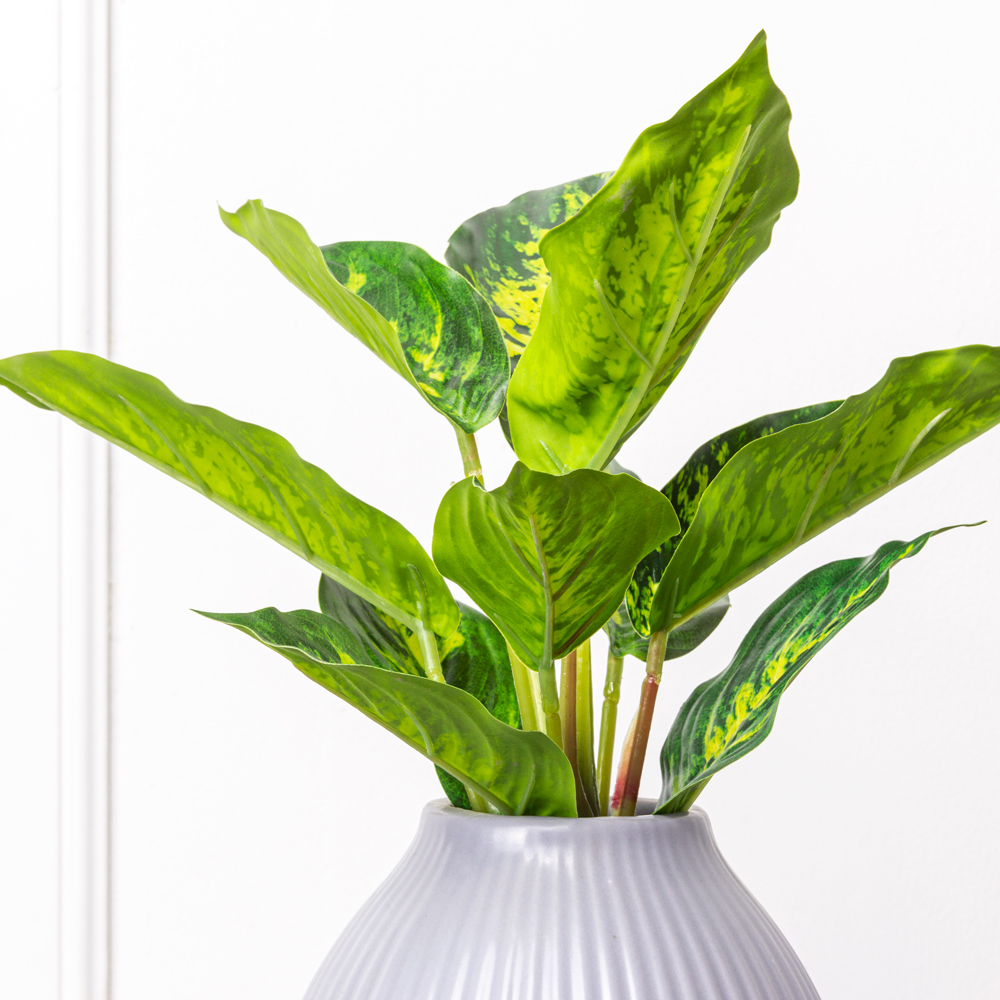 7143/0228-33 Калатея искусственная куст h30см, пестрый_1