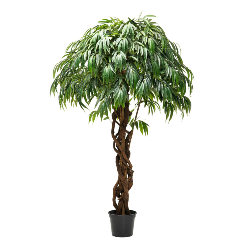 220/ССТ/ПЛ/219 Лонгифолия h220см(латекс)