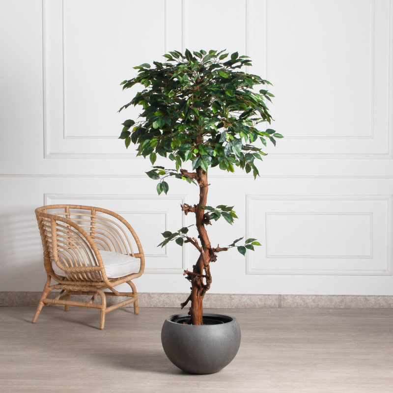 165/ОС/34(F) Фикус искусственный h165см (латекс)_1