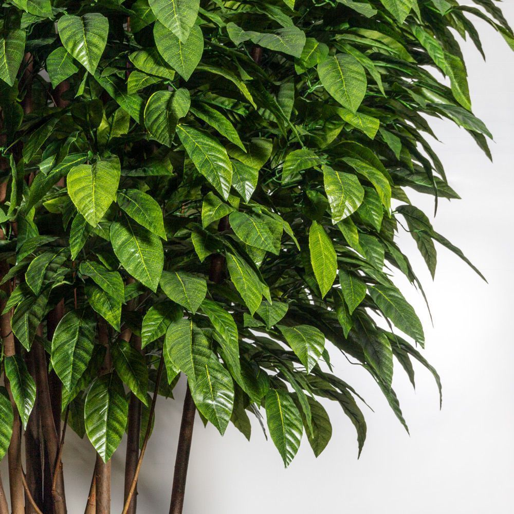 350/РН/209(з)(Пр) Фикус искусственный с крупным листом h350см_2