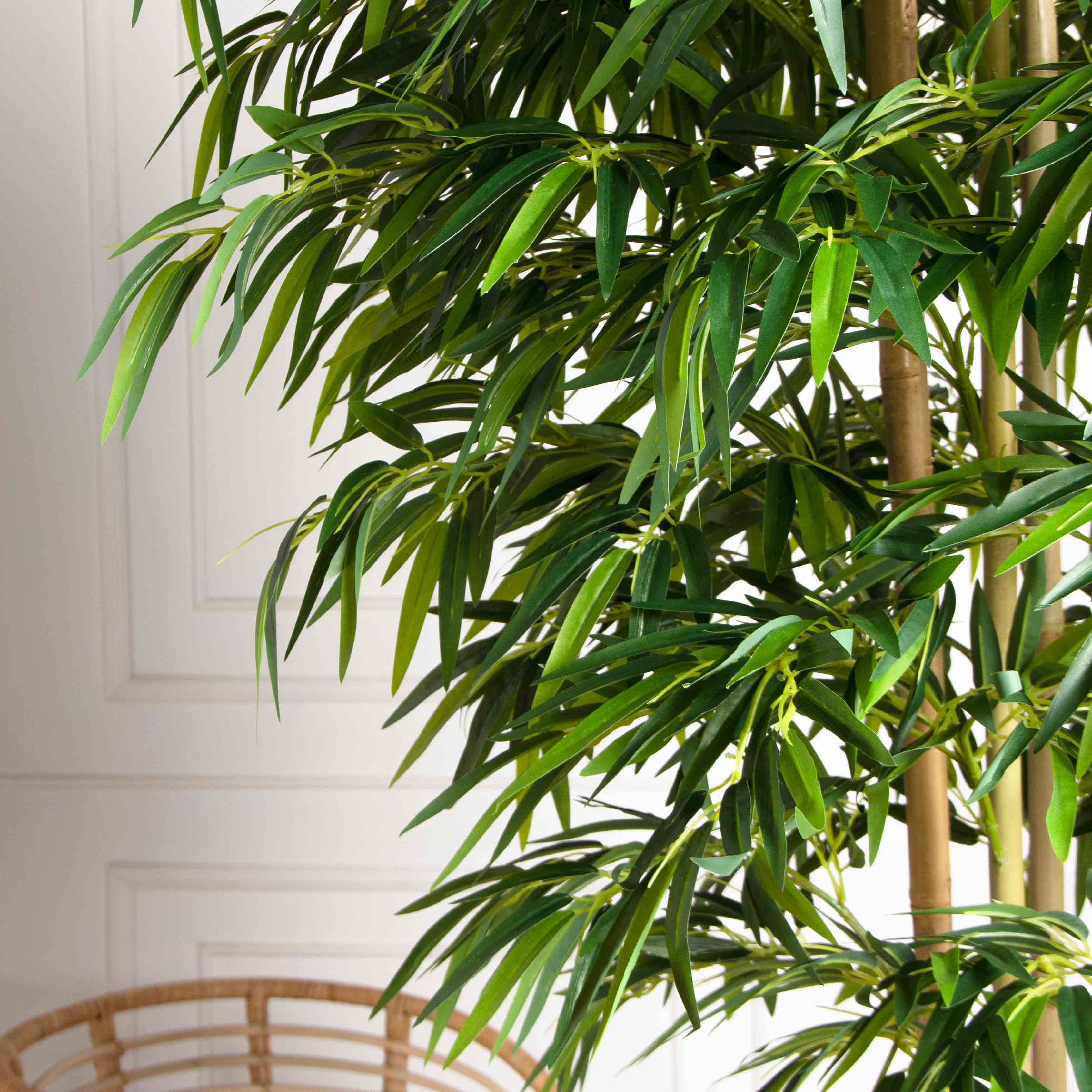 220/75/1-3(з)(Пр)(F) Бамбук искусственный 8 стволов, h220см (латекс)_4