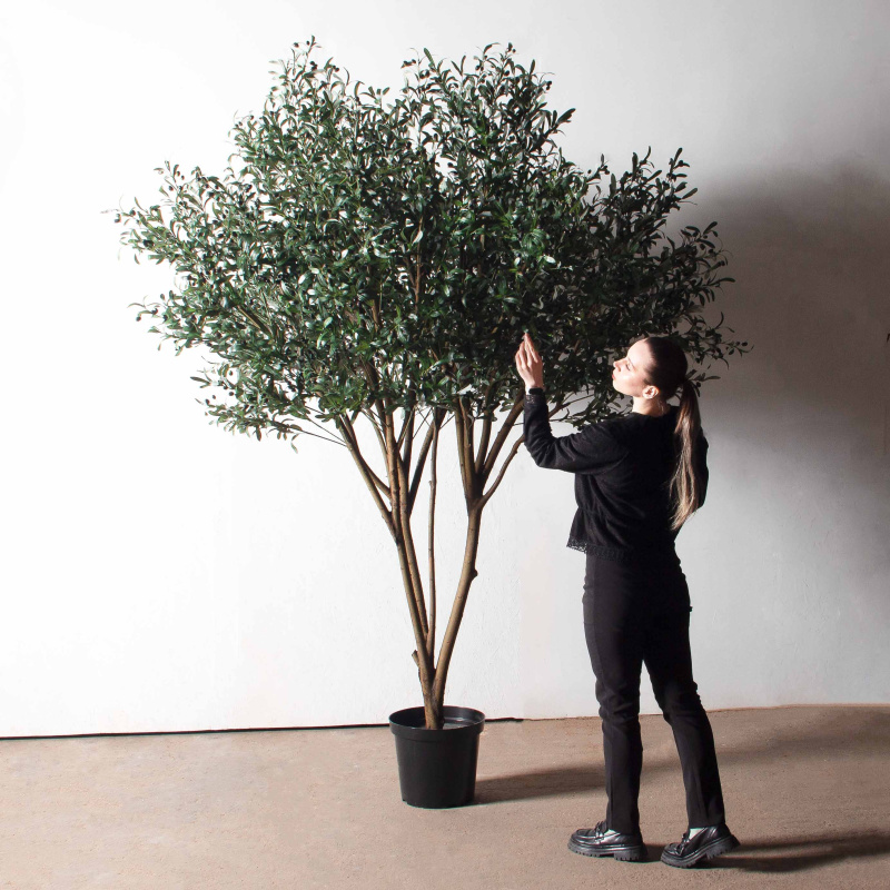 260/О/465(з)(Пр)(F) Оливковое дерево искусственное c плодами h260см_1