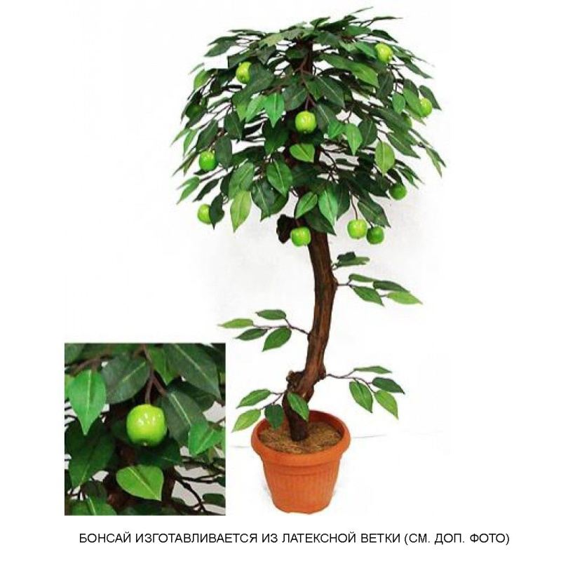 БП 70/42 Бонсай плод. Яблоня-мини (зел) 70см