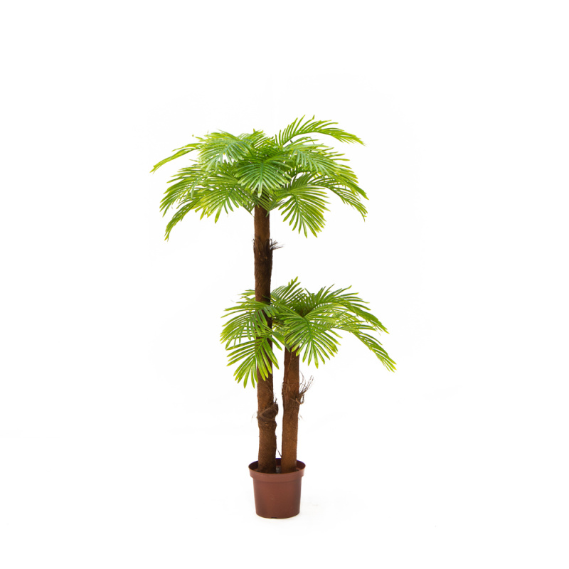 П170/2К/49Л Пальма Арека h170см(латекс)