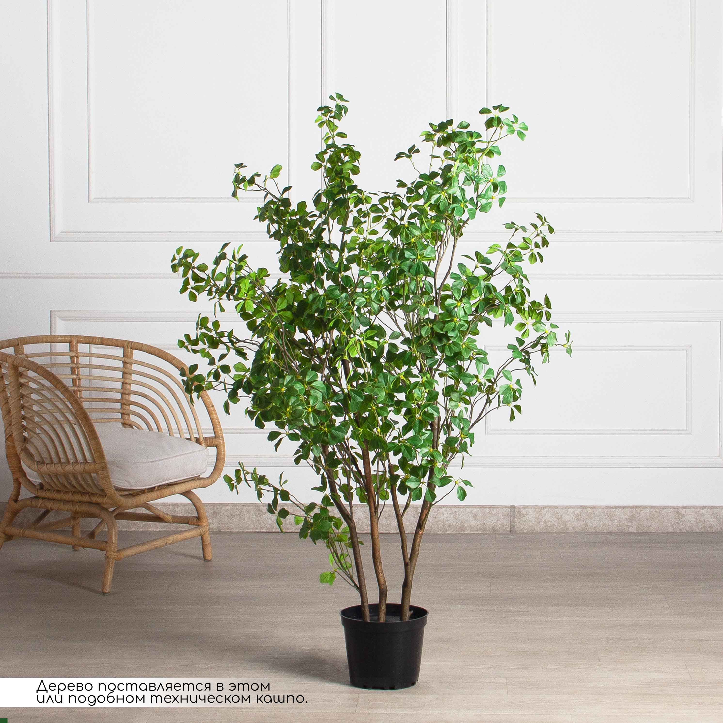 150/РН/ОК/534-1(з)(F) Шеффлера искусственная Компакта h150см d80см в кашпо, латекс_2