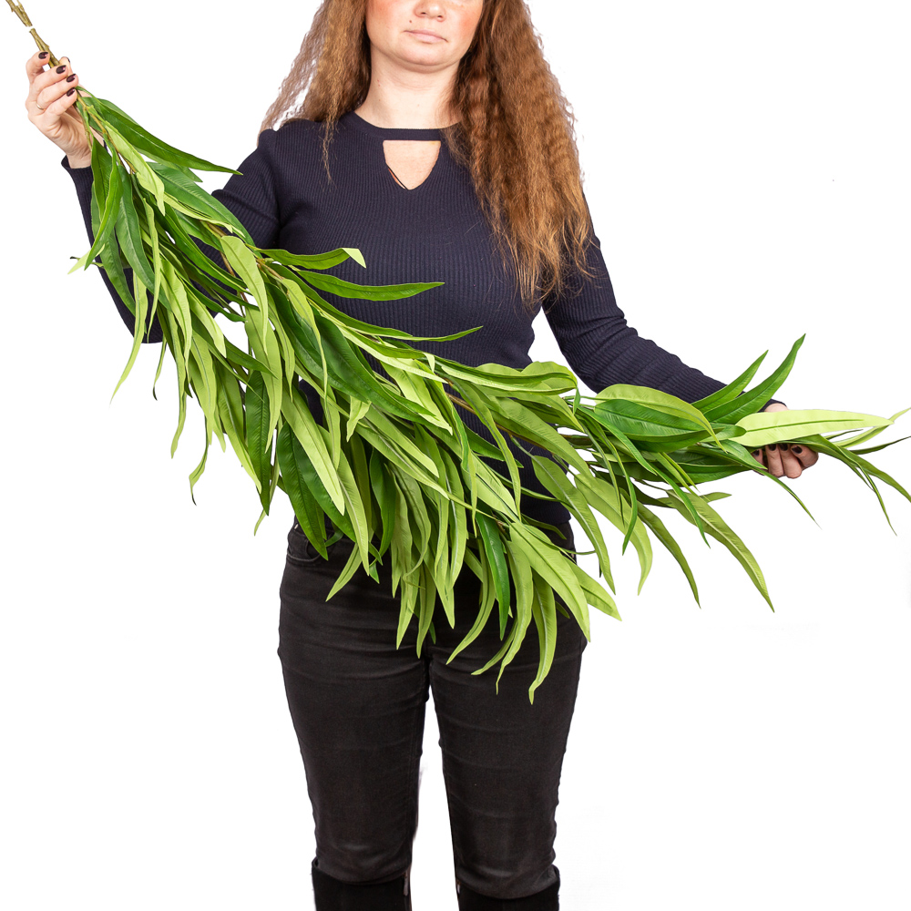 Л24 Лиана Манго L100см_3