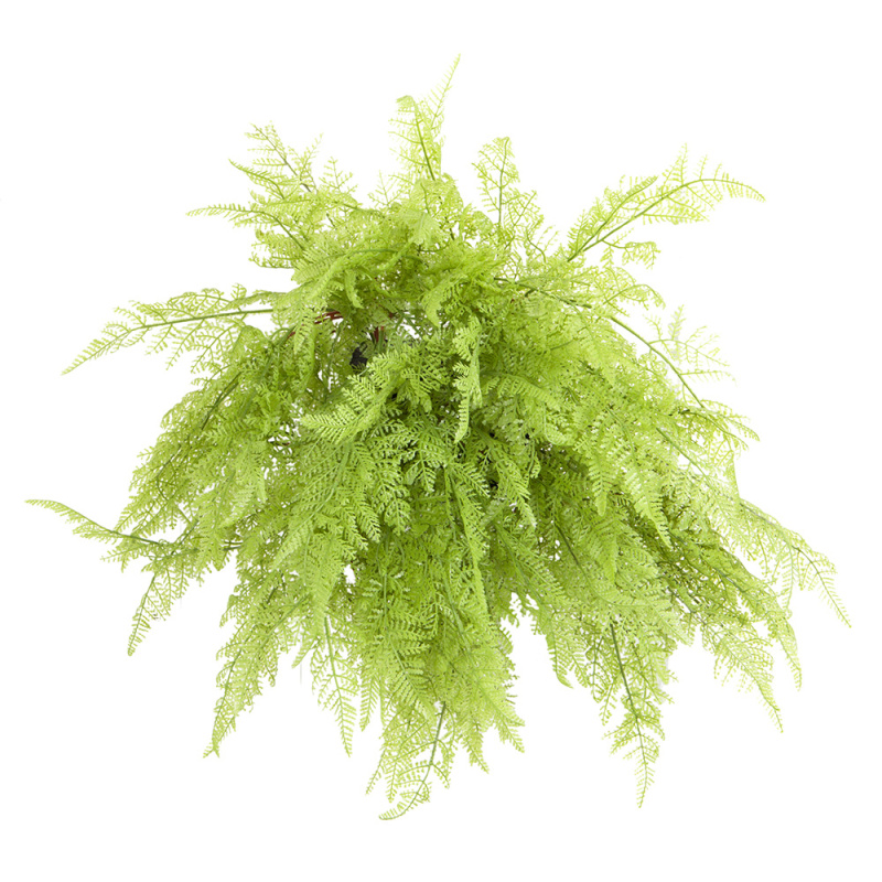 БК 11-1 Композиция с папоротником Давалия на блоке 15*h10