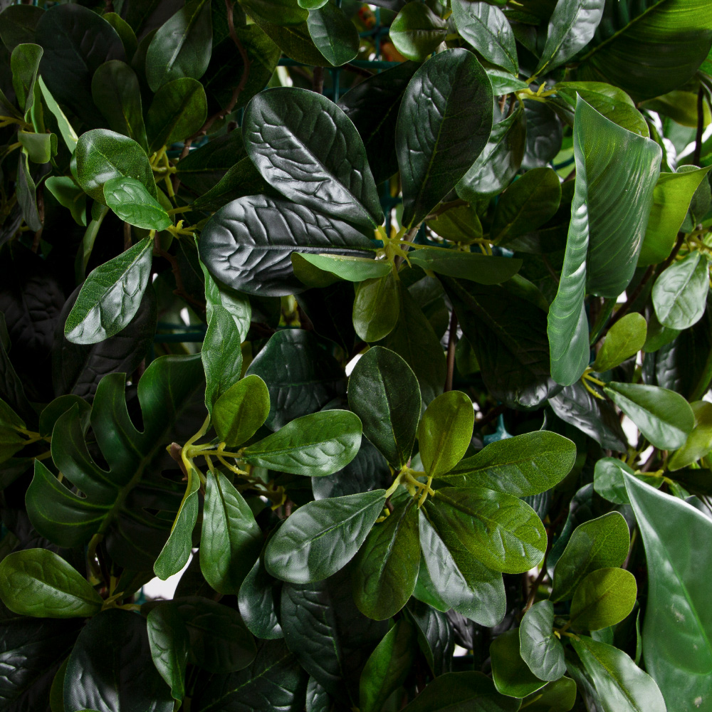 ФТС210(Пр)(F) Фитостена,  за 1кв.м_6