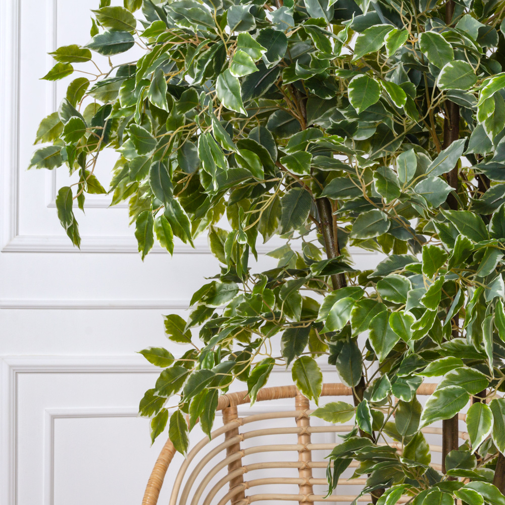 190/Я4/РН/17М Фикус Бенджамина искусственный h190см (латекс)_4