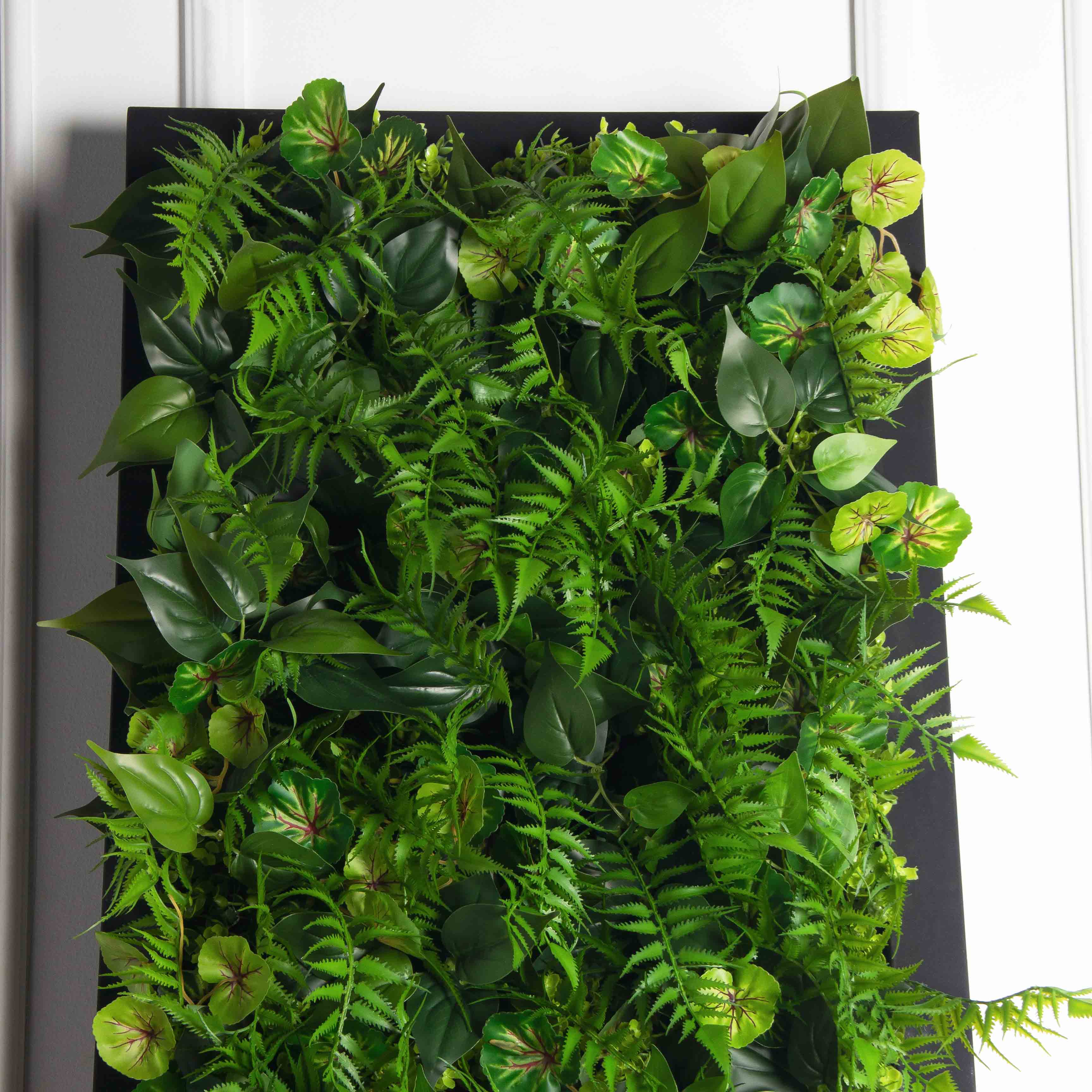 ФК96(Пр)(F) Фитокартина в черной раме 50х250см_6