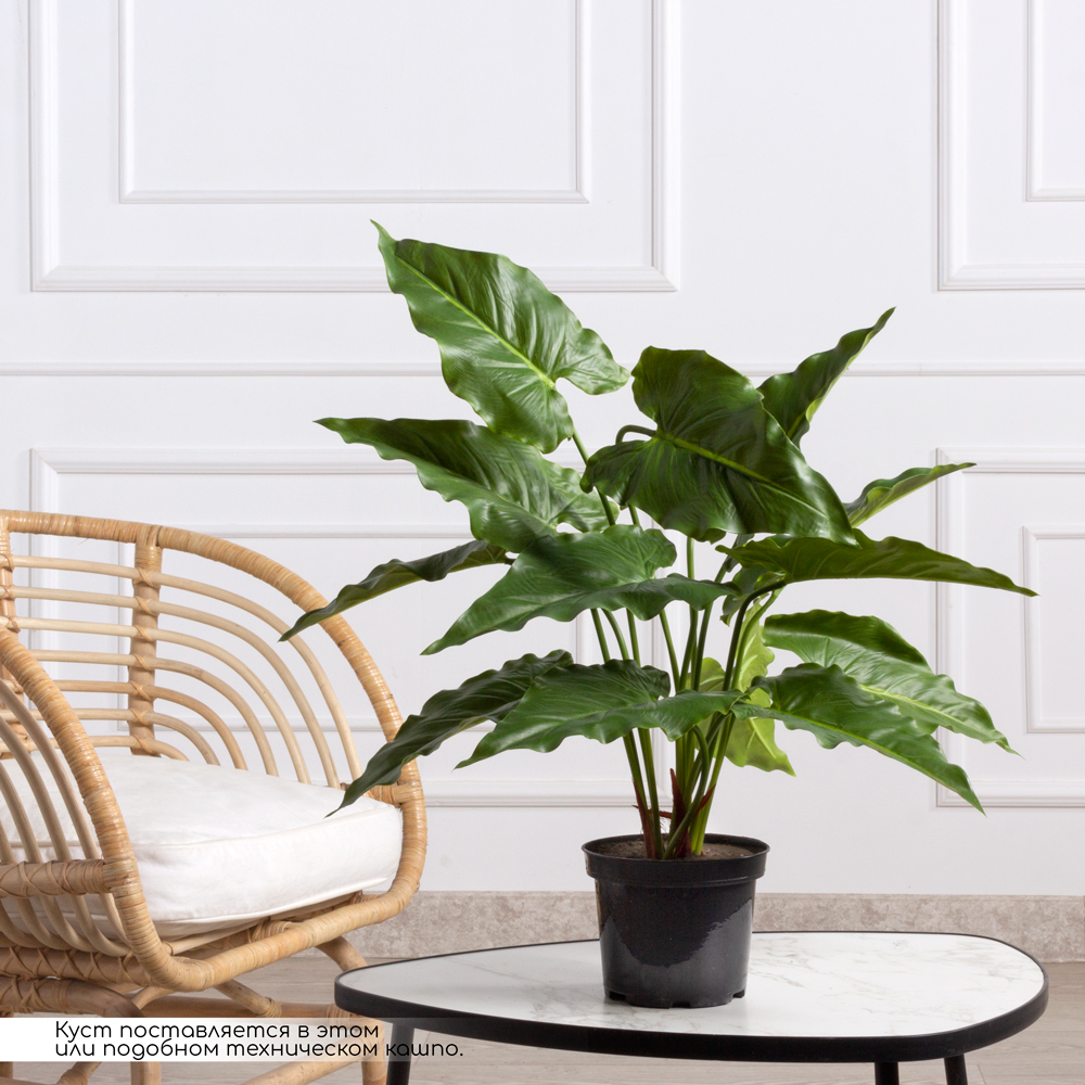 К055*2(F) Каладиум искусственный куст h55см (латекс) _1