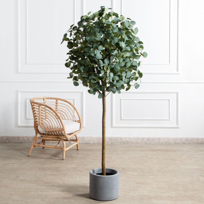 180/РН/617(з)(УУ)(Пр)(F) Дерево искусственное Эвкалипт h180см_1