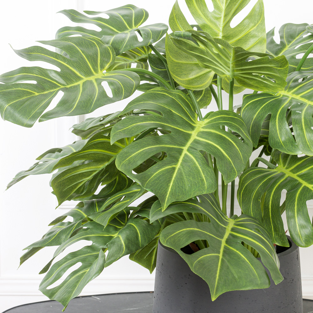 К065*5(F) Монстера искусственная куст h65см (латекс) в кашпо_3