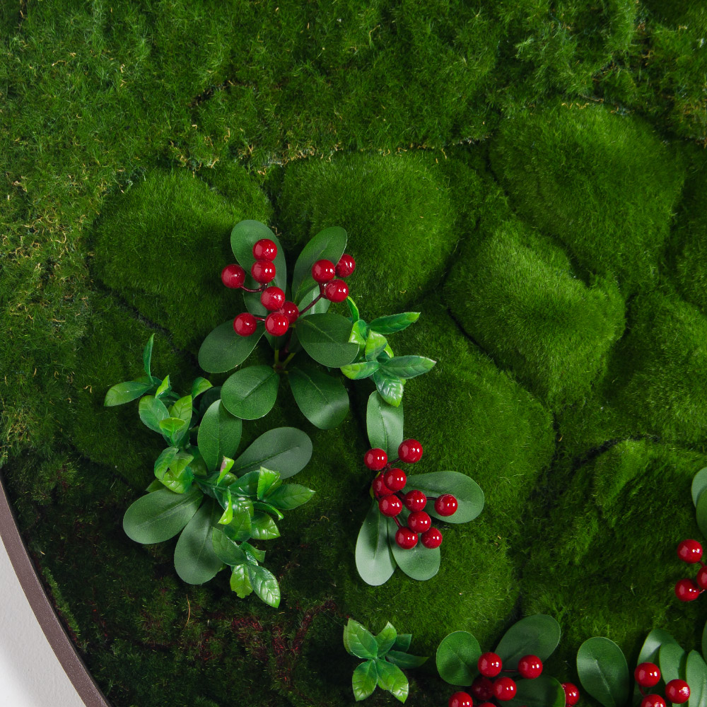 ФП20-4(з)(F) Фитопанно искусственное d100см в светлой раме_4