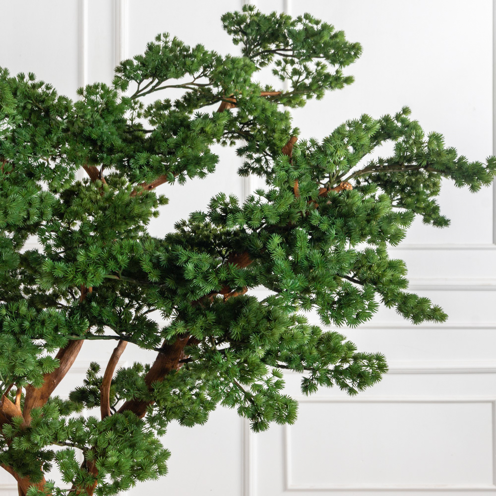 БС165/ДА/427(з)(F) Бонсай искусственный Сосна h165 d120см_7