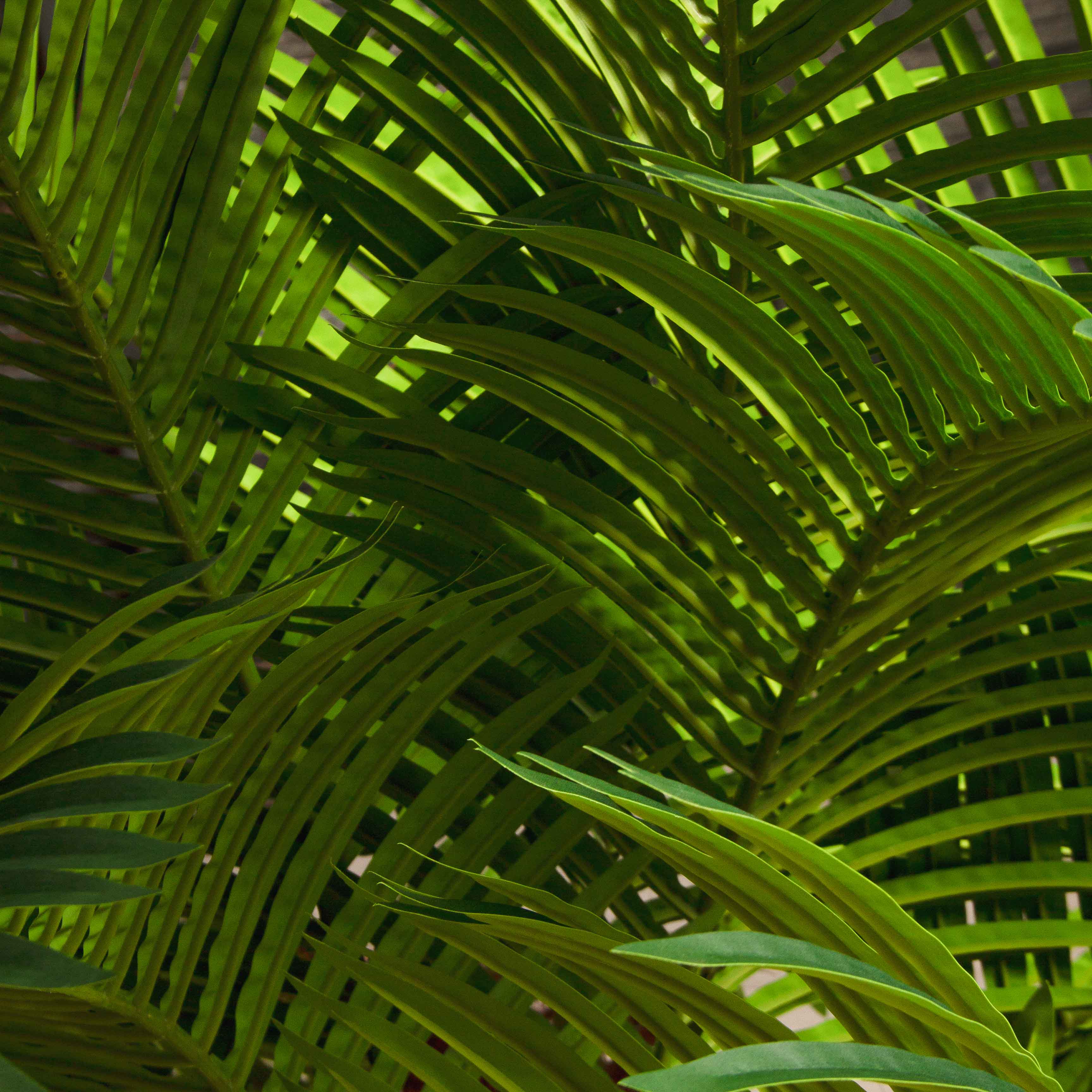 ПС300/ТР/49Прем(Пр)(F) Пальма Арека искусственная h300см (латекс) на мет.основании_7