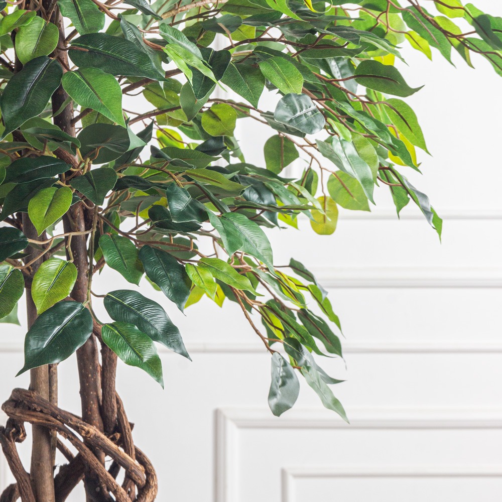 180/ПЛ/34(Пр) Фикус искусственный h180см (латекс)_8