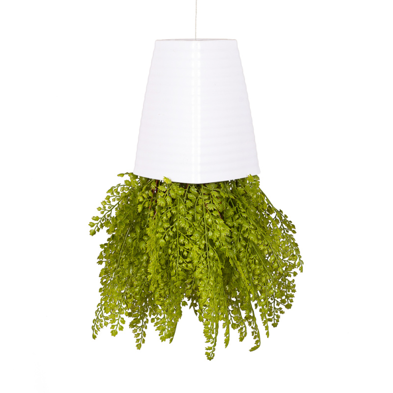 СП06 Sky Planter Адиантум(папортник) h-20 в кашпо (17х17х21см)