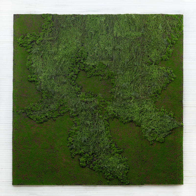 Фитостена 87  Рельеф