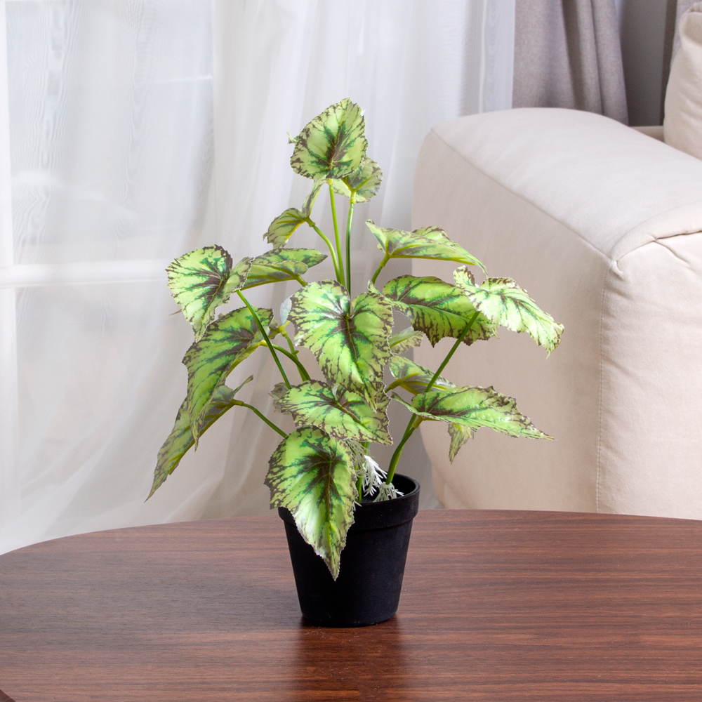 ЦС211-1(F) Бегония искусственная салатовая_5