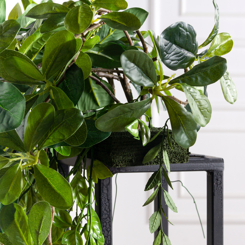 К310/6(з)(F) Композиция искусственная Шеффлера с ампельными растениями на основании 30х8х3см_3