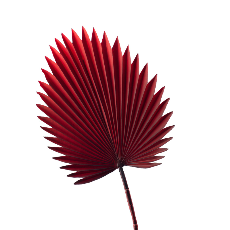 7143/0030-8/11 Лист Веерной пальмы, искуственный, бордовый, h 88 см (35+53)