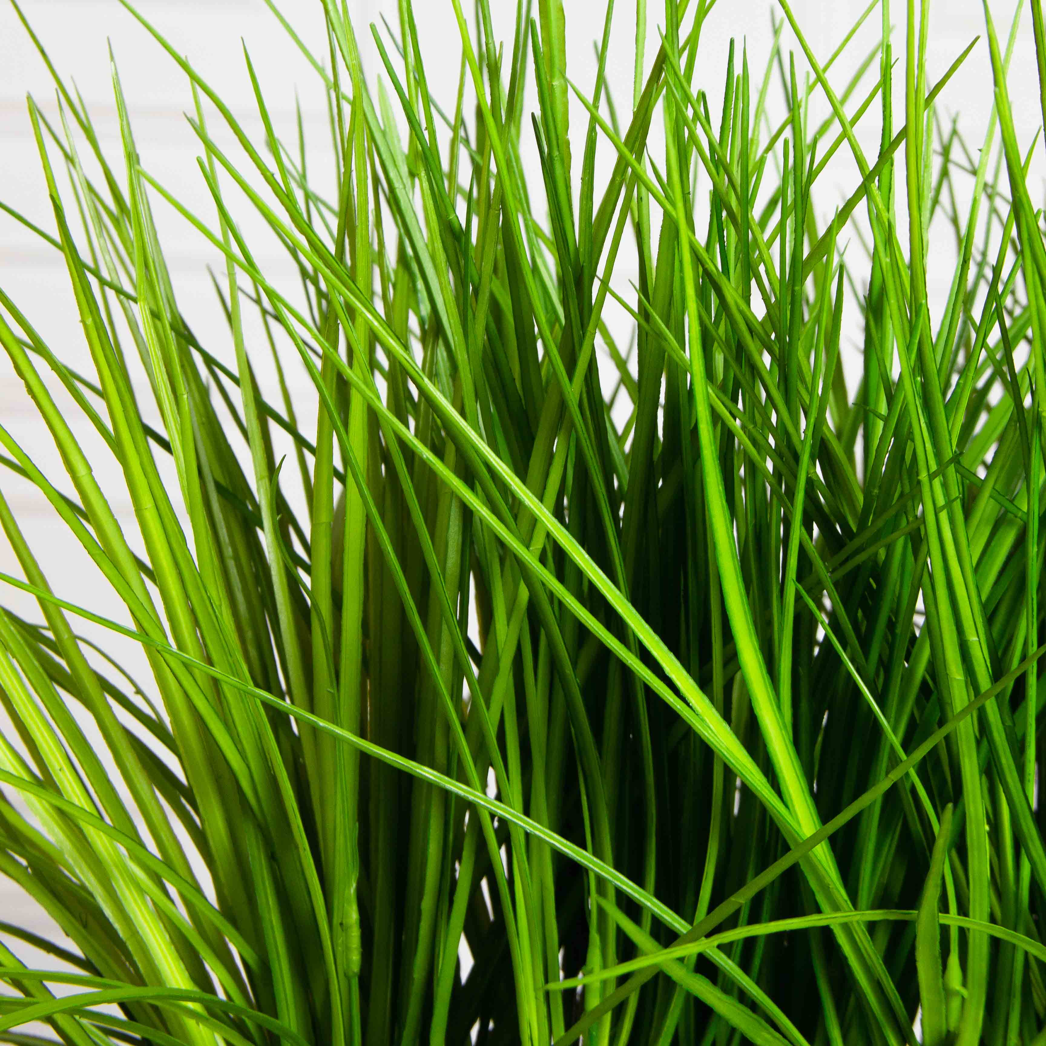 ТД078(F) Трава Осока искусственная  h40см в кокосовом боксе 50х10х10см_4