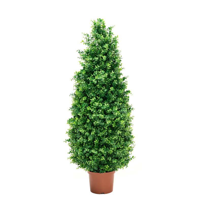 СК130/228(з) Самшит-конус эвкалипт 