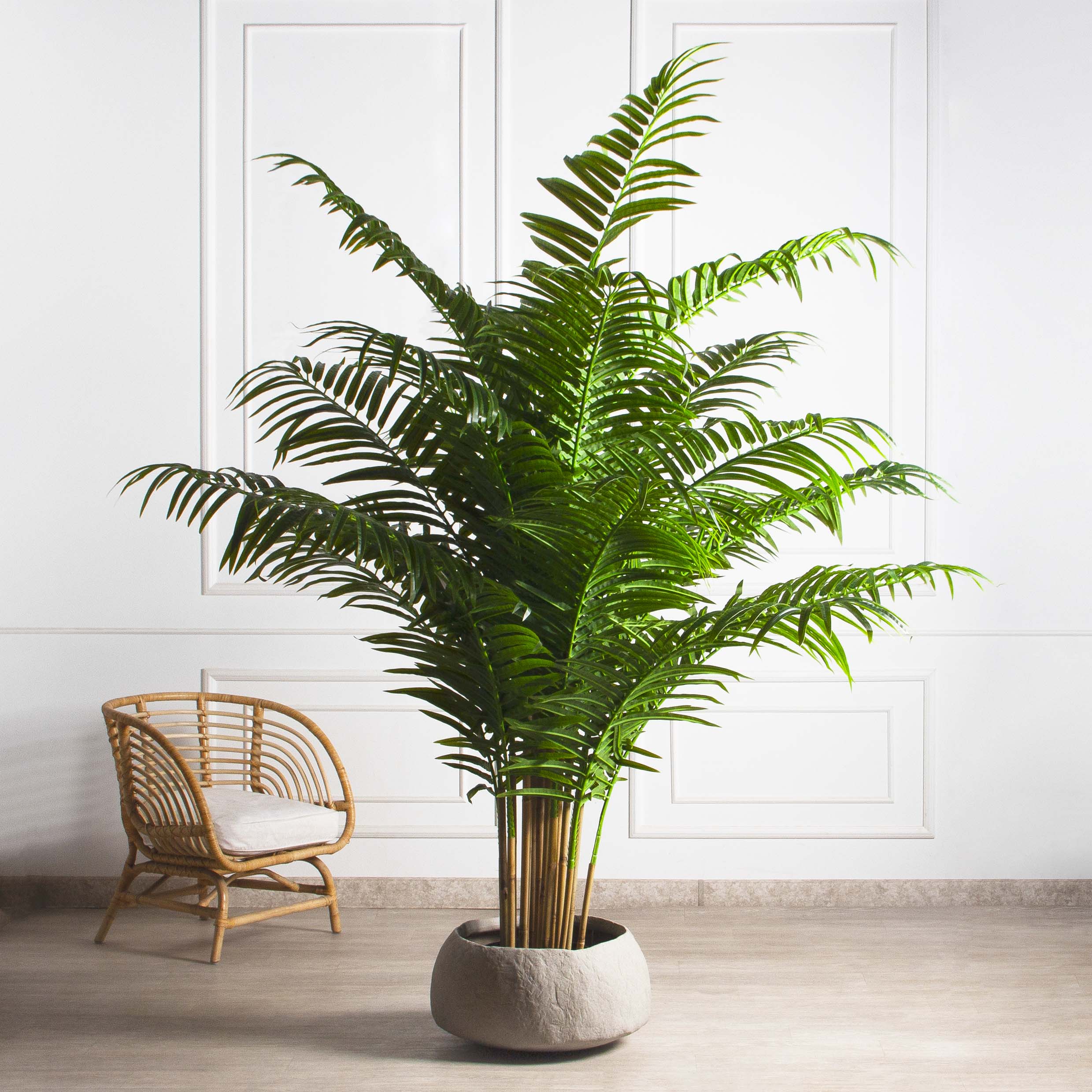 ПК250/К/49-3(з)(Пр)(FixK)(F) Пальма искусственная кустовая h250см (латекс)_3