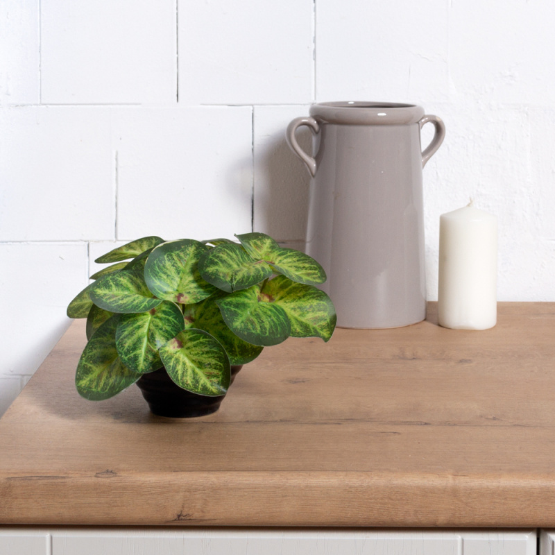 ЦС2088-2(F) Пеперомия искусственная, зелёная