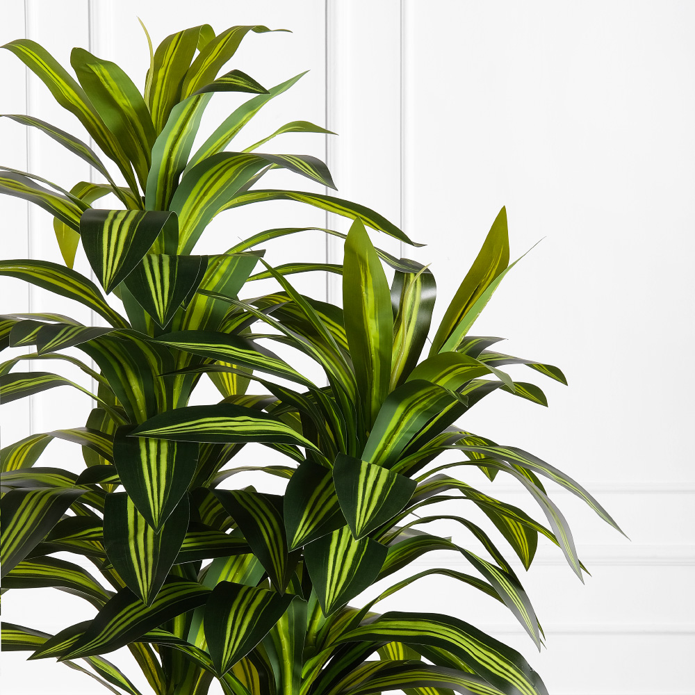 180/3С/405(х)(Fix)(F) Драцена искусственная h180см (латекс)_3