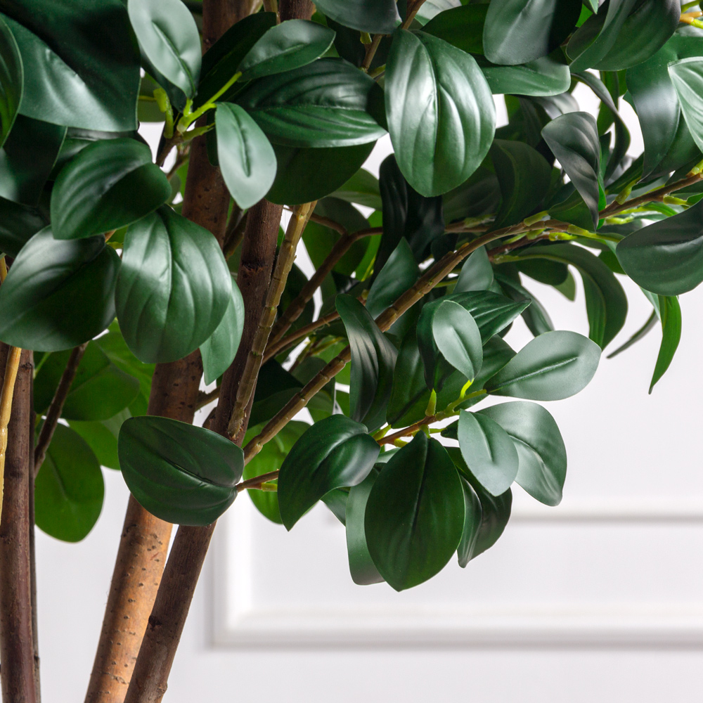 200/РН/64(Пр)(F) Рускус искусственный h200см (латекс) _2